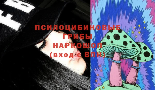 шишки Дмитров